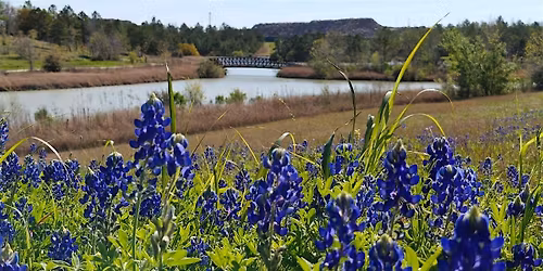 BioBlitz at Willow Waterhole for the City Nature Challenge