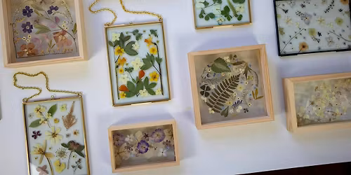 Pressed Flower Frame Workshop