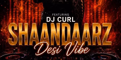 SHAANDAARZ: Desi Vibe