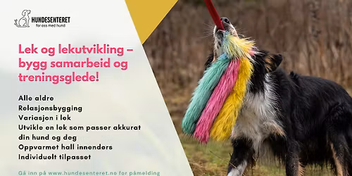 Lek og lekutvikling \u2013 bygg samarbeid og treningsglede!(ledige plasser)