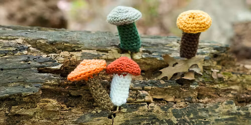 Fiber Arts Series: Crochet Mushrooms
