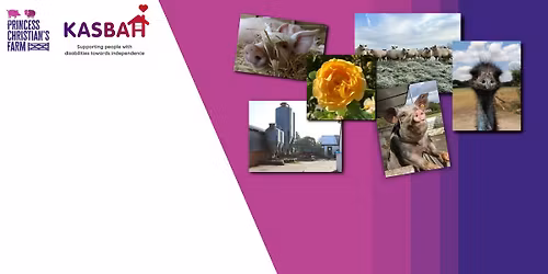 KASBAH\u2019s Christmas Ball