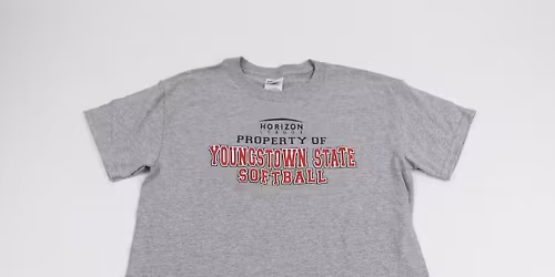 California Golden Bears vs. Dominican Penguins