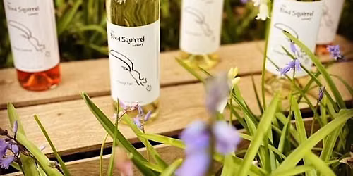 Talk, Tour, Taste- A Blind Squirrel Wine Experience