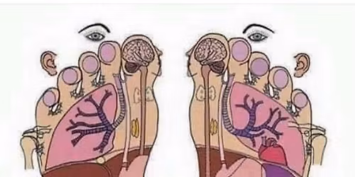 Fully Accredited Diploma in Reflexology