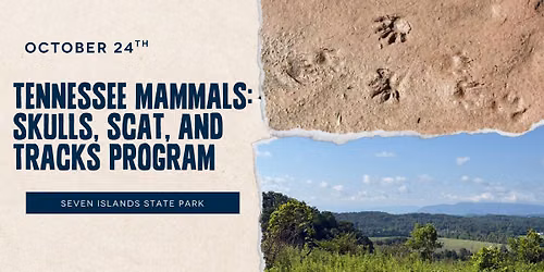 Tennessee Mammals: Skulls, Scat, and Tracks Drop-in Program