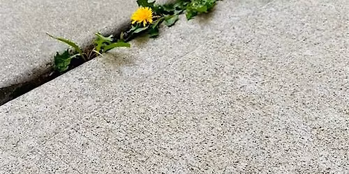 Mehr Mut zum Chefsessel: Selbstentfaltung, innerer Kompass und Resilienz