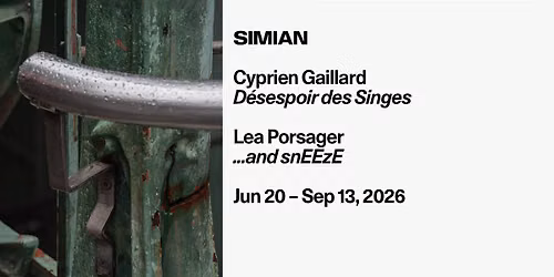 Opening: Cyprien Gaillard, D\u00e9sespoir des Singes \/ Lea Porsager, ...and snEEzE