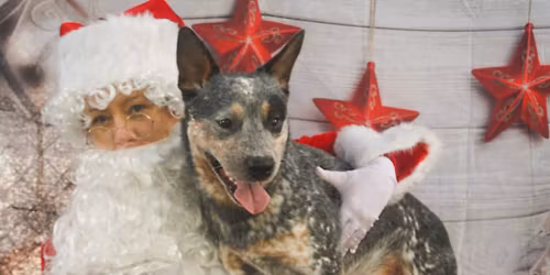 Christmas Daycare Party