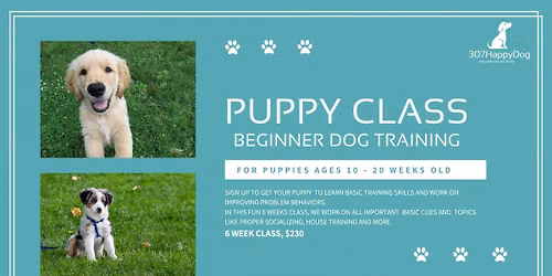 NEW Puppy Class starts 