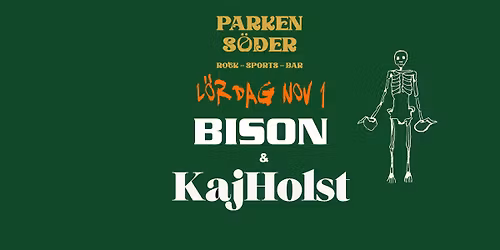 Bison och KajHolst spelning p\u00e5 Parken S\u00f6der