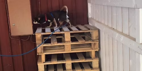 Sommar i Magria - Sv\u00e5r- & O\u00e5tkomligt 