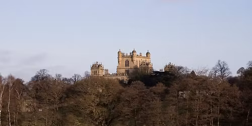 Title: Exploring the world of anger