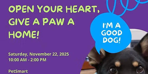 Meet and Greet Puppies and Dogs - Olympia