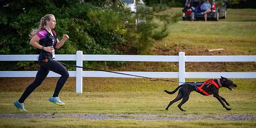 Steeplechase Stampede