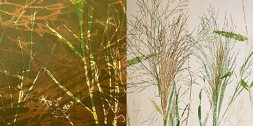 Artist's Floor Talk | Sally Mumford | Thirty-six views of Mparntwe | Saturday 23 May @ 10.30am