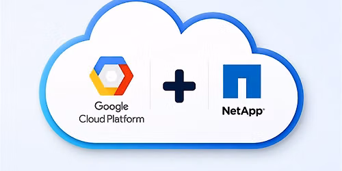 NetApp\/Google cloud modernization