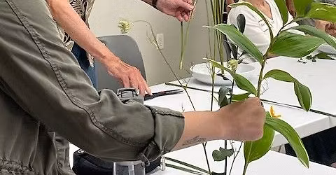 Ikebana Flower Arranging for Adults
