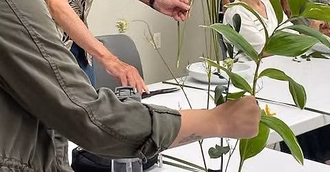 Ikebana Flower Arranging for Adults