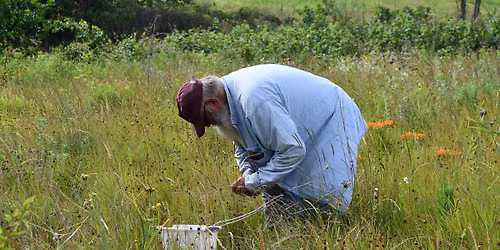 Volunteer Morning: Braidwood Dunes and Savanna Nature Preserve