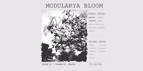 MODULARYA BLOOM | Pulse 22 | 25.04.2026