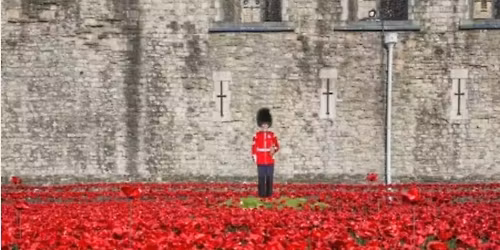 Remembrance Sunday opening