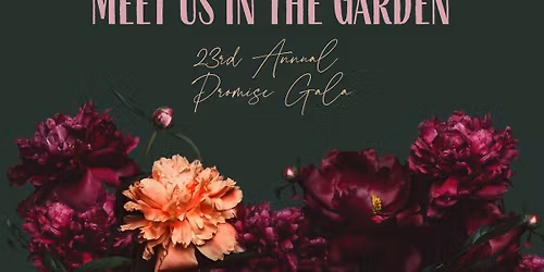 23rd Annual Cedar Rapids Breakthrough T1D Promise Gala