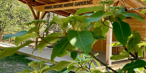 Yoga in the Park - Daniel Boone Native Gardens
