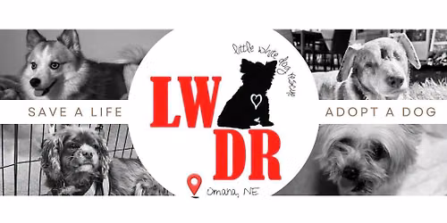 Meet & Greet - Pet Supplies Plus (96th &  Q)