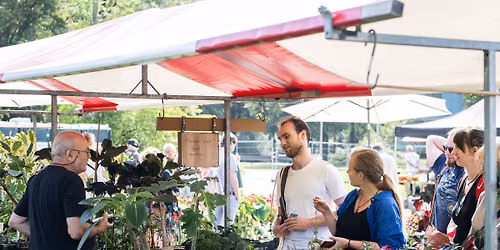 Liefhebbersmarkt