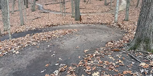 Kegel Alpha Work Day