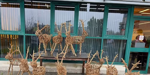 Willow Stag\/Reindeer weaving Sculpture Workshop 