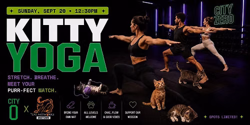The Cat Connection: Kitty Yoga