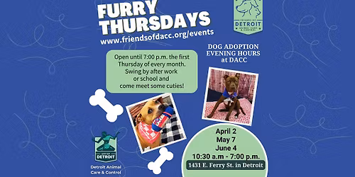Furry Thursday! Evening Adoption Hours at DACC