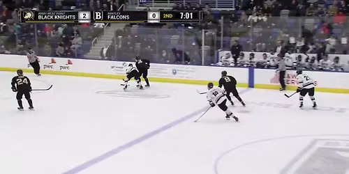 Bentley Falcons vs. Army West Point Black Knights