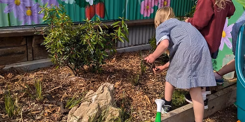 Sprouts club - after school gardening program