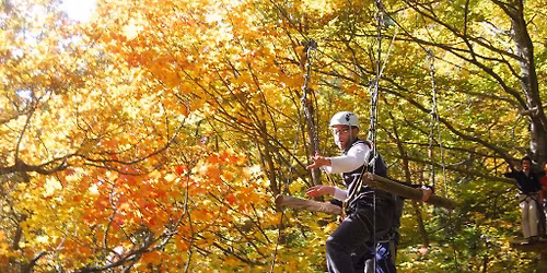 Journ\u00e9e Accrobranche! Parcours d'aventure!