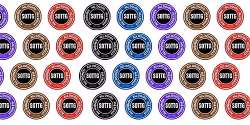 SOTTG Ladies Veterans Open Mat @Texas Self Defense Academy