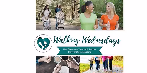 Walking Wednesday in Frankton