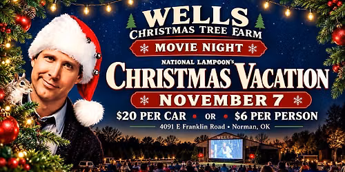 Christmas Vacation Under the Stars
