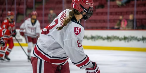 Harvard Crimson Women's Hockey vs. Clarkson Golden Knights