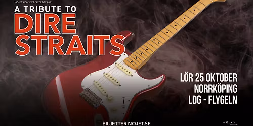 A Tribute to Dire Straits