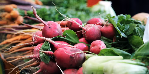 Markttag beim Steudler
