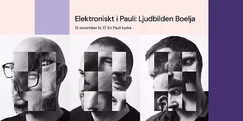 Elektroniskt i Pauli - Ljudbilden Boelja