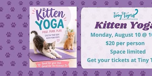 Kitten Yoga at Tiny Tiger