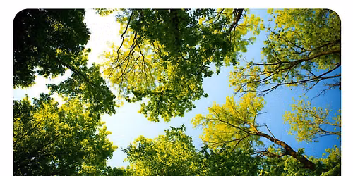 GUIDED TREE WALK (FREE)
