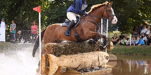 Training the event horse - great basics