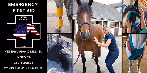 Equine Health and Emergency First Aid