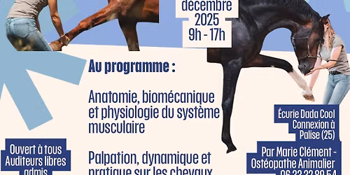 INITIATION STRETCHING \u00c9QUIN