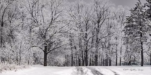7th Annual Winter Hike